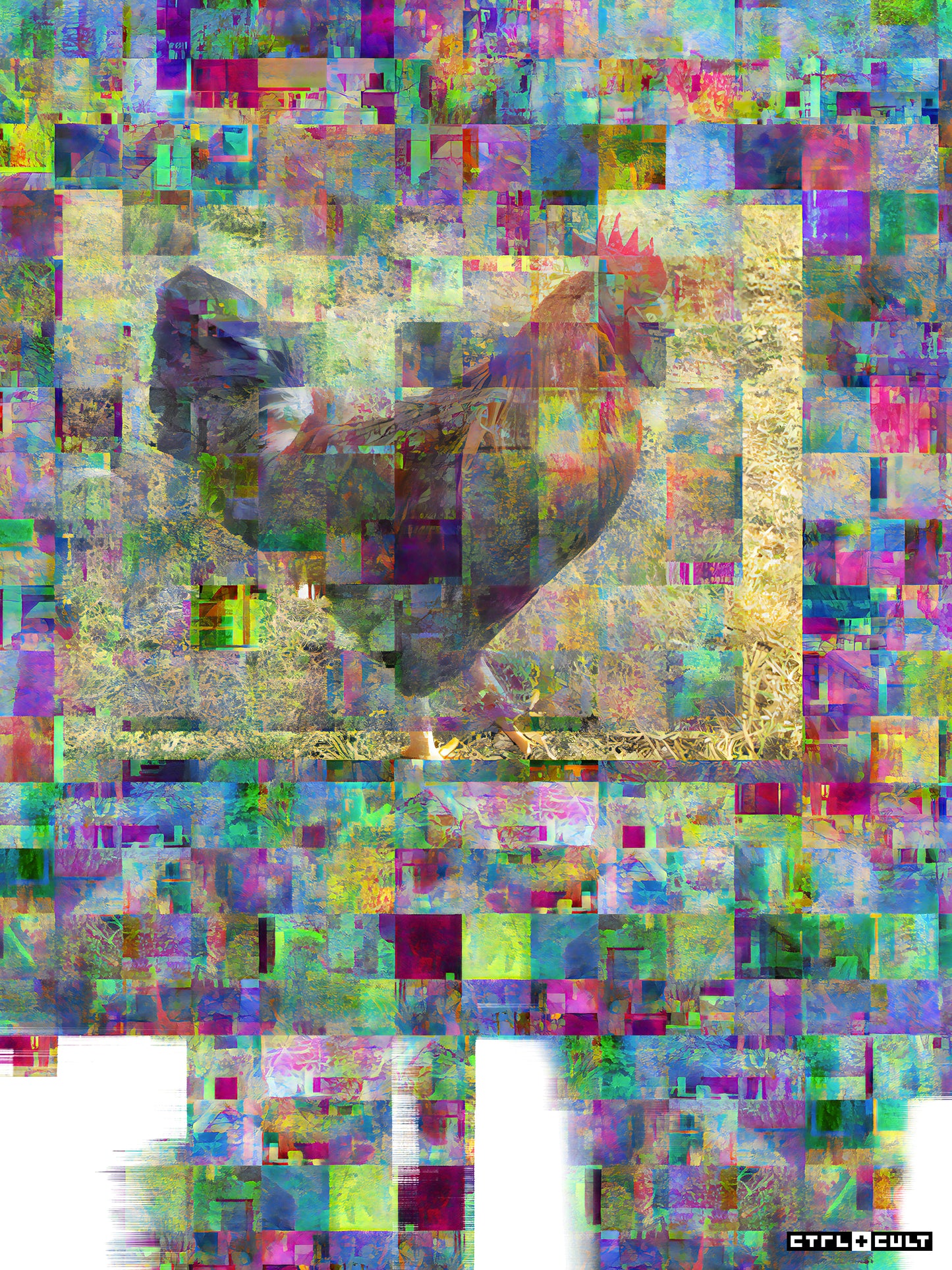 Chicken